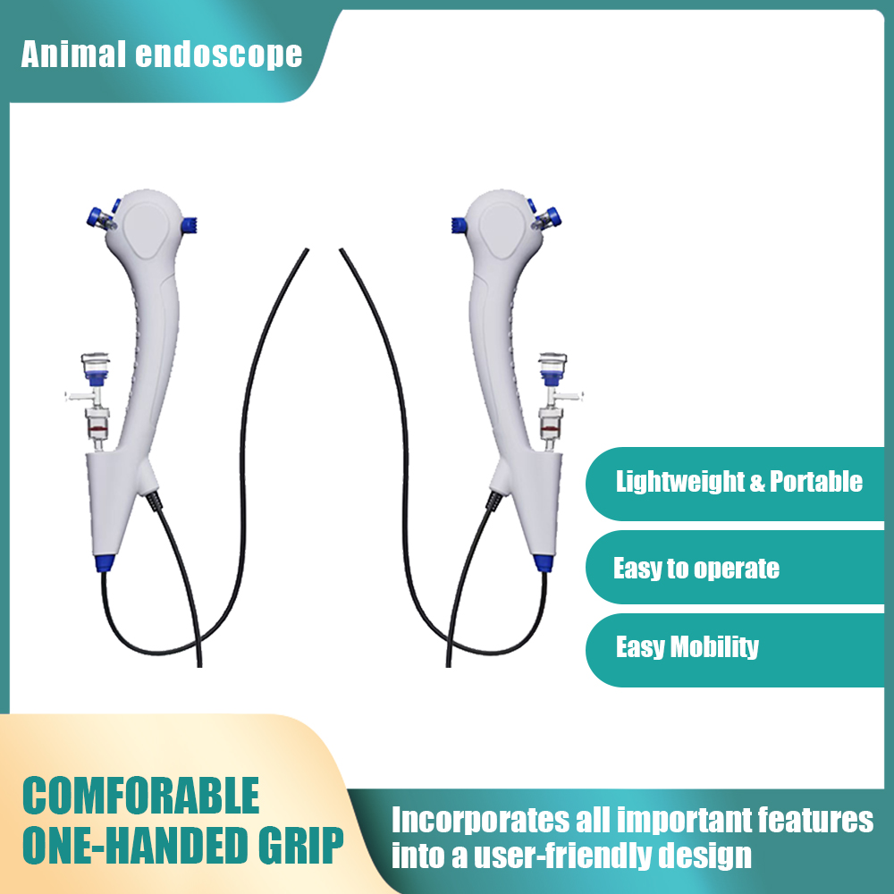Vet Tech Accessories - 유연성 내시경, 1.95mm/2.5mm/3mm/4.3mm/5mm/5.5mm 내시경