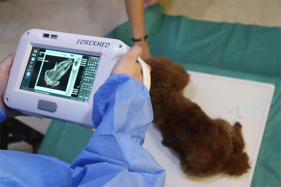 미니 수의학 엑스레이 기기 애완동물 병원 휴대용 디지털 - Vet Tech Accessories 리뷰 및 가격